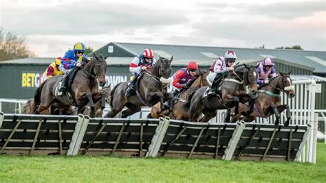 plumpton betting|Horse Races At Plumpton Racecourse: Betting Tips, .